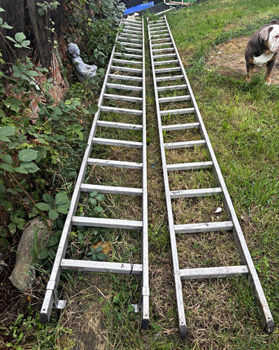 Aluminium extension ladder - aluminium,