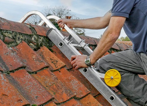 Extension ladder roof hook - ladder,